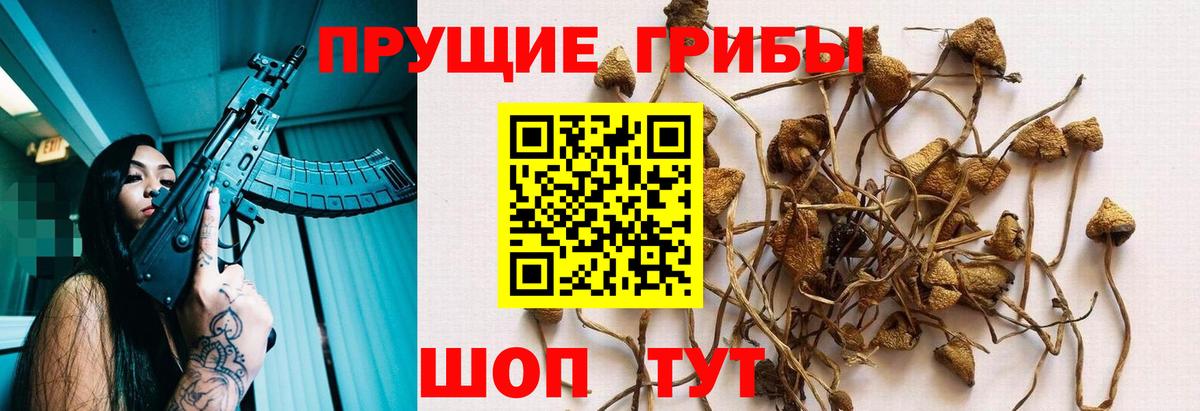 Псилоцибиновые грибы Magic Shrooms  Галлюциногенные грибы Cubensis  Вход с VPN  где продают   Вятские Поляны 